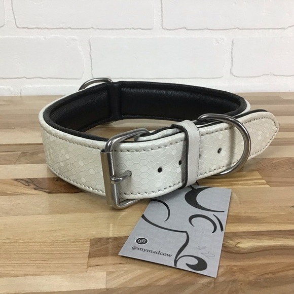 Madcow Ecru black genuine leather contemporary country vibe dog collar handmade - Picture 1 of 15